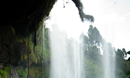                   Sipi Falls
                