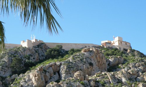                                                                         The castle - a long clim