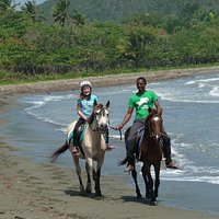trotting on the beach