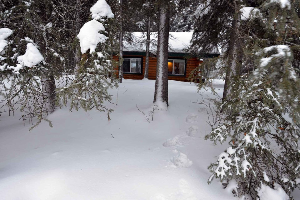 NORTH POLE CABINS - отзывы и фото - Tripadvisor