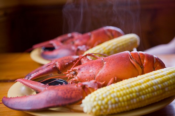 How to Cook a Lobster - Dinner at the Zoo