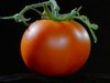 Tomatinho