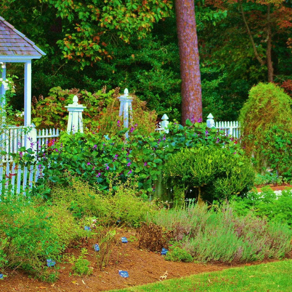 NORFOLK BOTANICAL GARDEN - All You Need to Know BEFORE You Go
