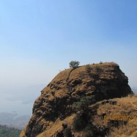 One Tree Hill Point