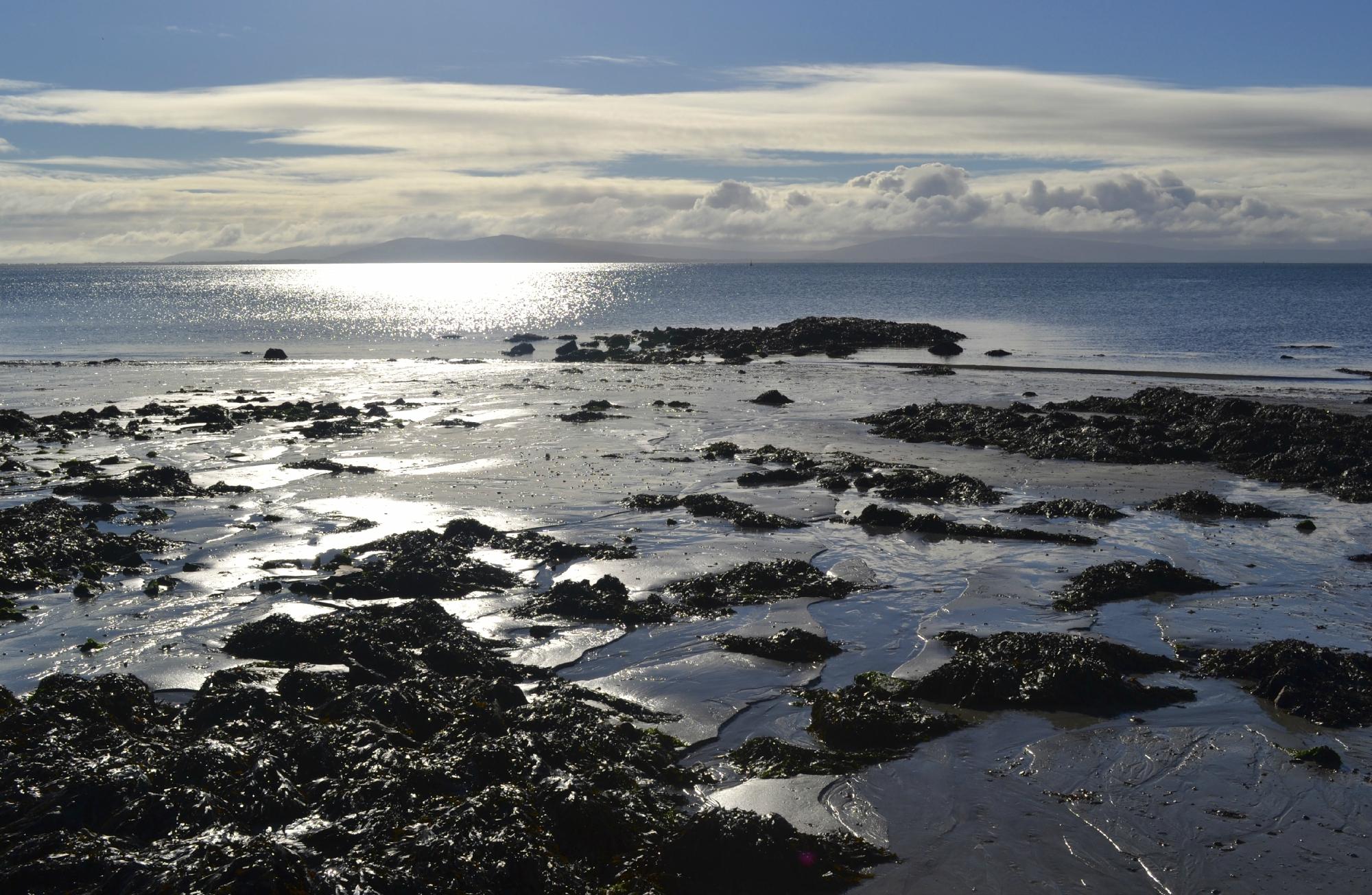 Salthill Beaches (Galway) - 2022 Alles Wat U Moet Weten VOORDAT Je Gaat ...