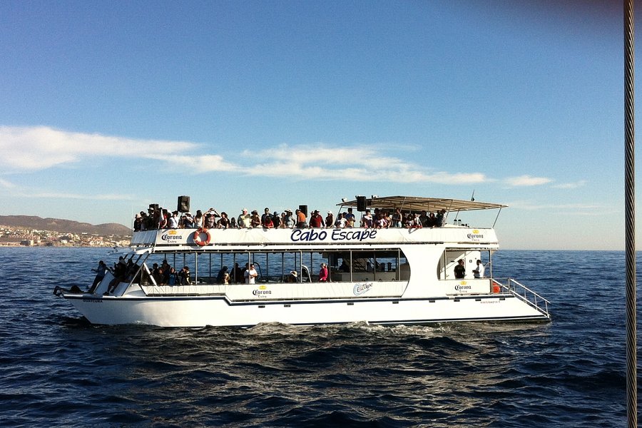 cabo escape boat tour
