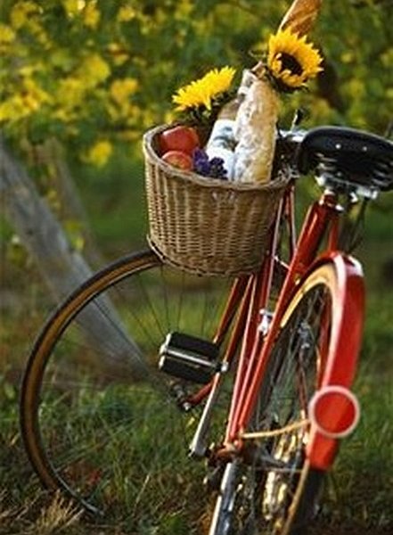 Grapemobile Bicycle Hire & Tours image
