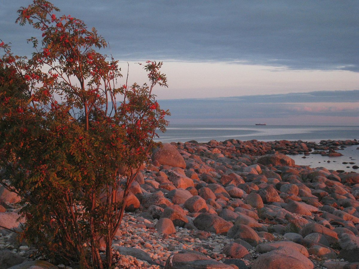 Kihnu Island (Estonia) - Đánh giá - Tripadvisor