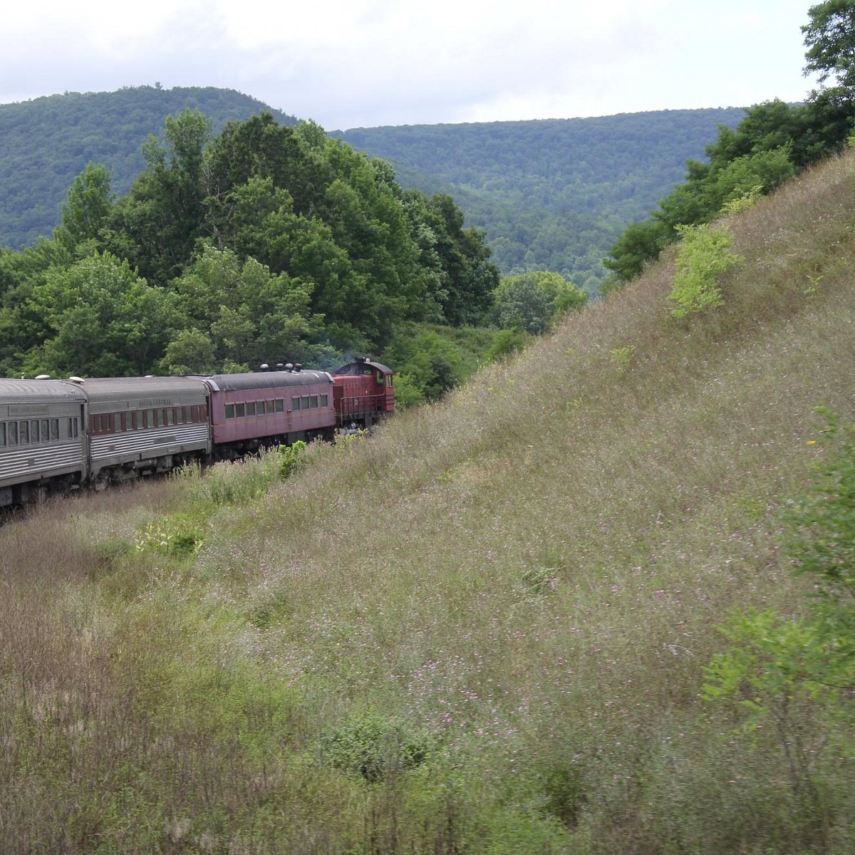 Central railway