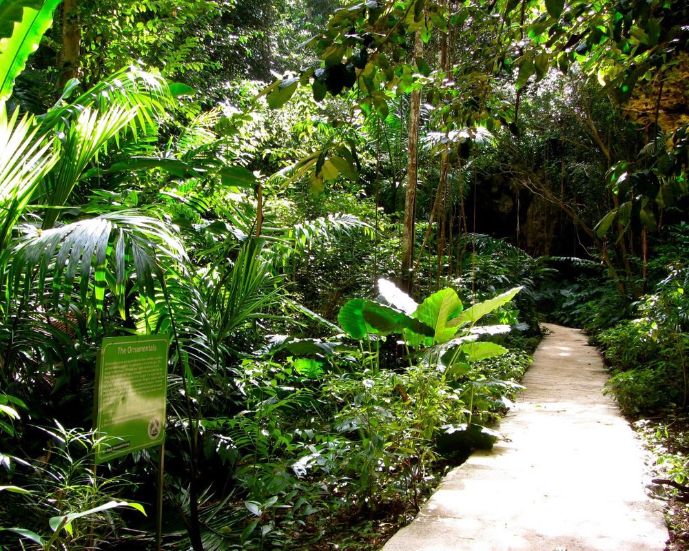 THE 5 BEST Barbados Gardens (with Photos) - Tripadvisor