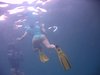 Divetraveller62