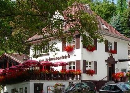                   Schwanenteich Vorderansicht
                