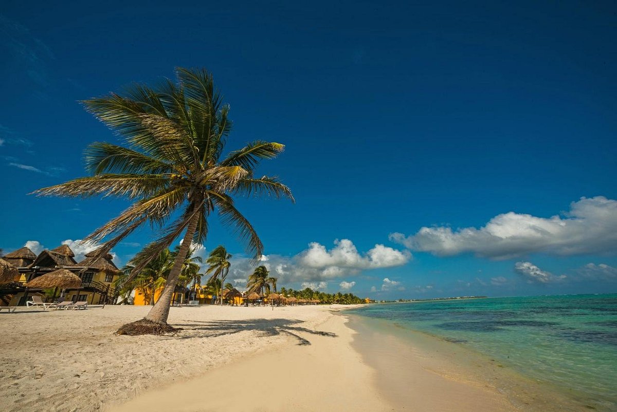 pavo real beach resort tulum