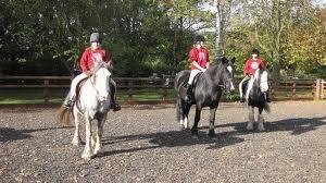 Pony Club UK