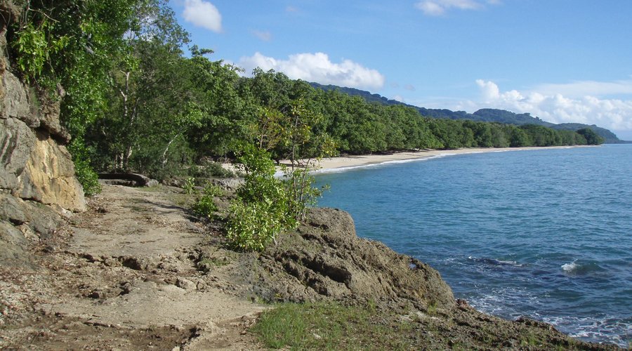                   Coastline at Waterfall Village
                