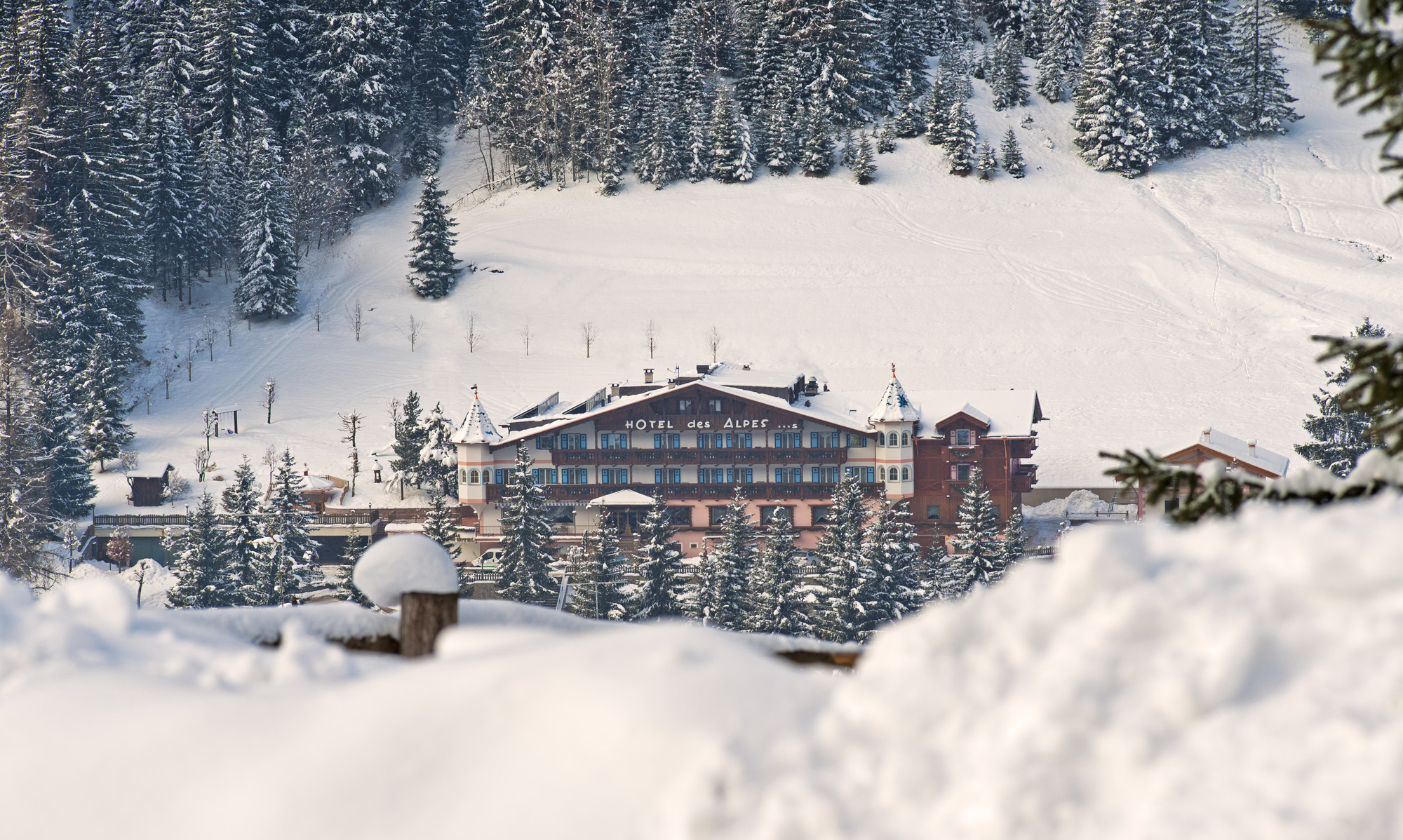 Hotel photo 13 of Relais Hotel Des Alpes.