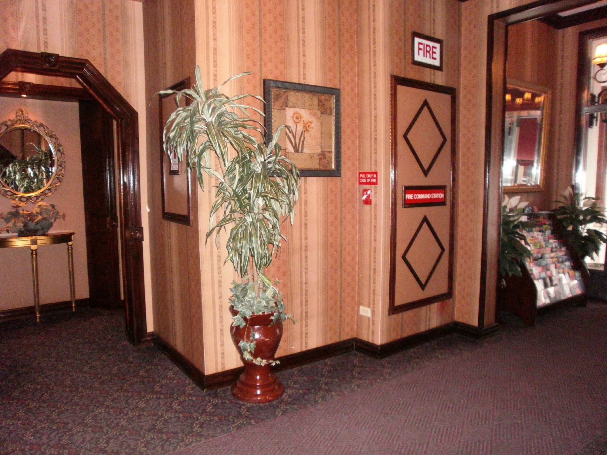Hotel photo 2 of Hotel 17.