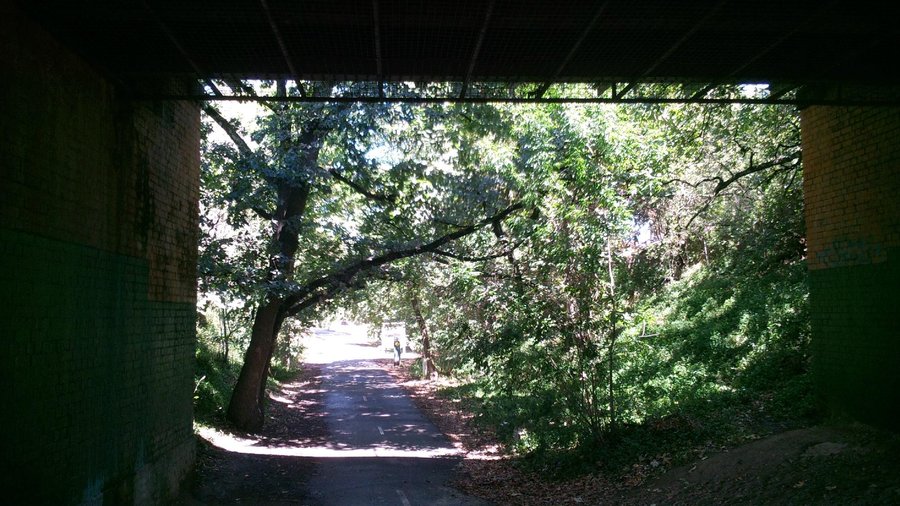                                     near East Camberwell
                
                