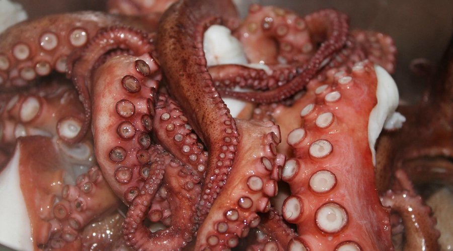 Guisando una de nuestras mejores tapas... ¡¡ Pulpo Taberna Pinet !!