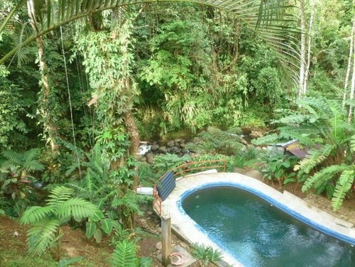 AGUA INN - Prices & B&B Reviews (Costa Rica/Nuevo Arenal)