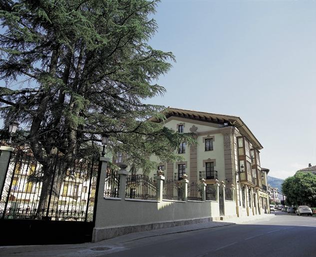 Hotel photo 40 of Hotel Palacio Azcarate.