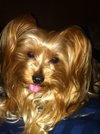 Wookie Mom