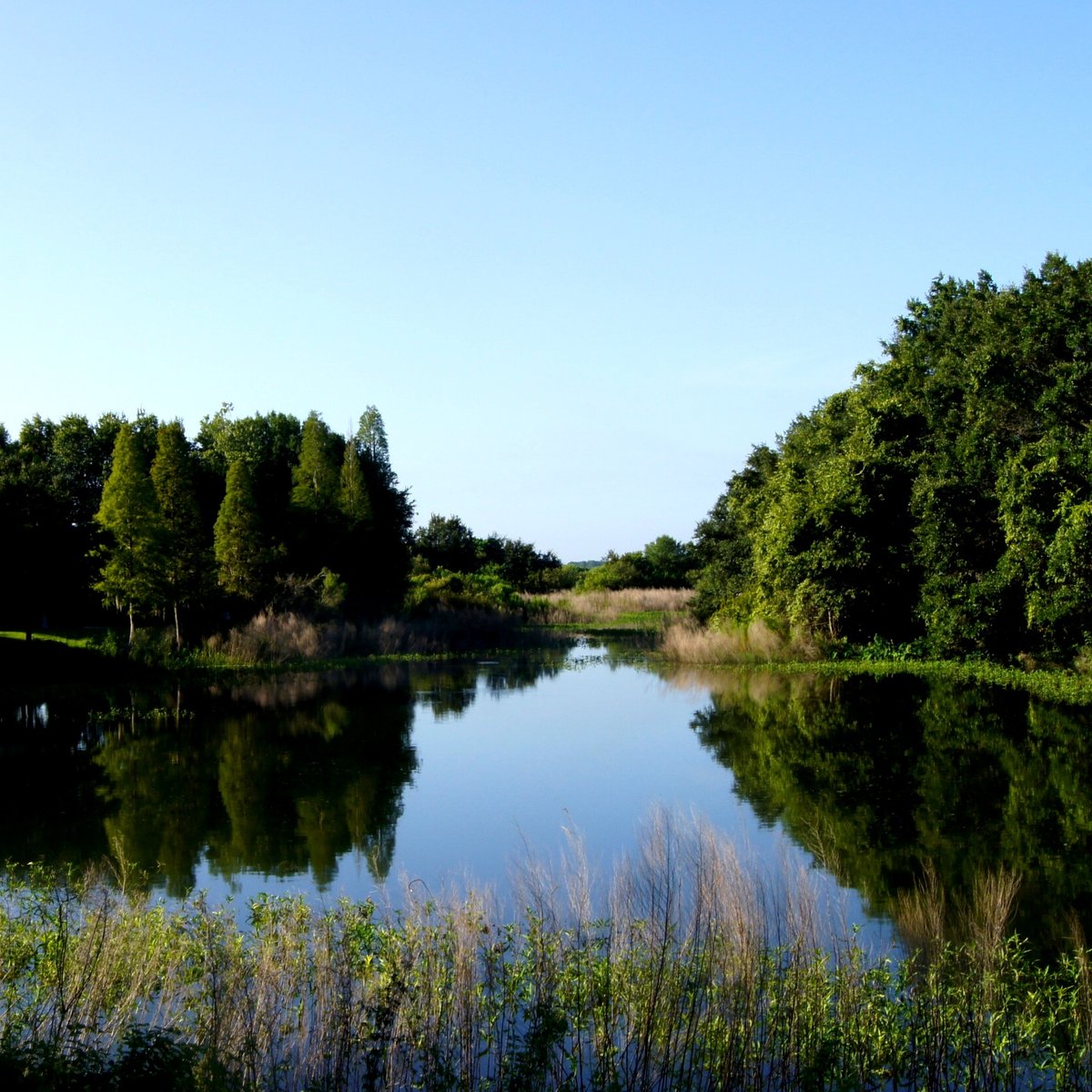 Edward Medard Regional Park (Plant City) All You Need to Know BEFORE