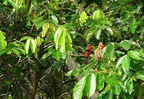 Visita a Hifas da Terra - Afapo