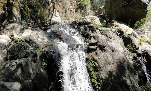                   Cascada
                