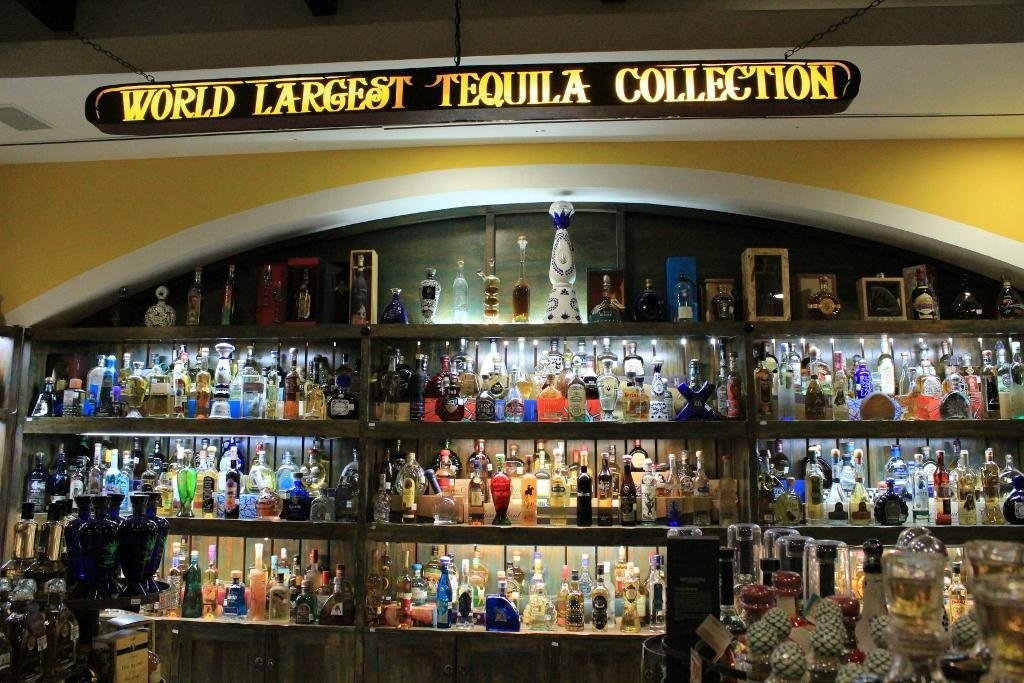Museo Sensorial del Tequila: historia, sabor y shots