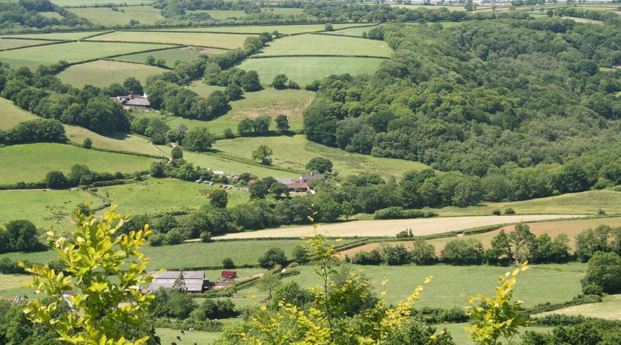 View of the valley