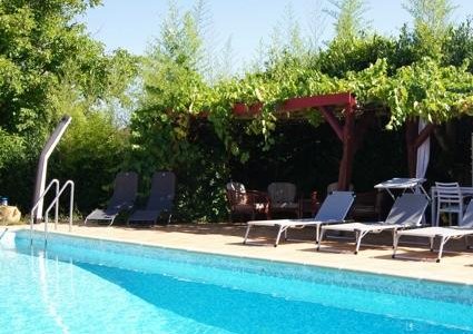Het zwembad met terras onder de druivelaar.