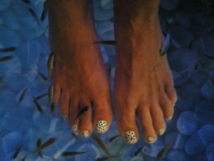 Imagen 10 de Fishness Fish Spa & Wellness