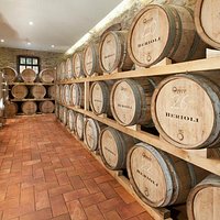 Visita gratuita alle Cantine Berioli, Magione Umbria.