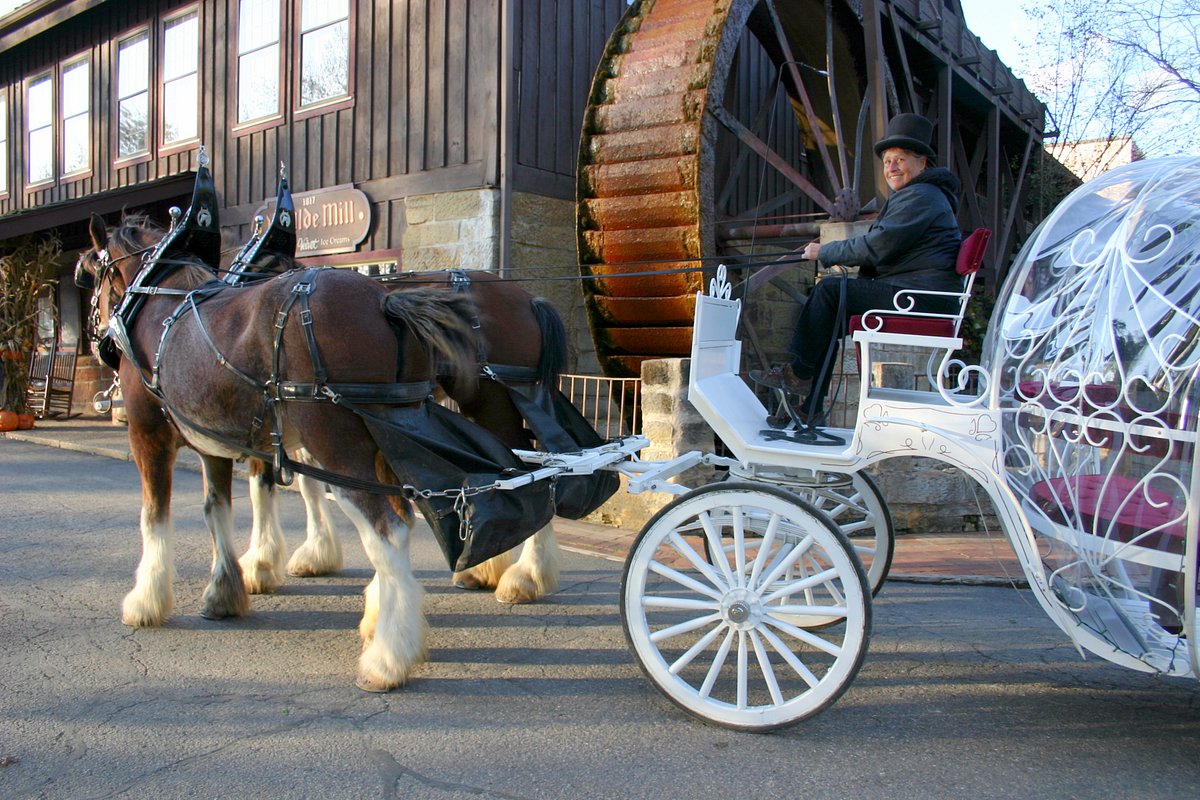 carriage rides louisville tours