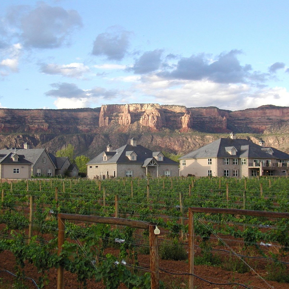 winery tours grand junction