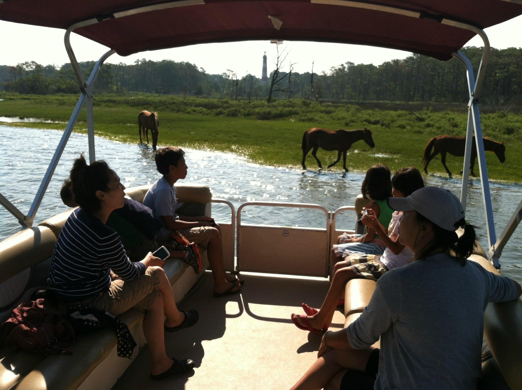 Captain Dan's Around the Island Tours (Chincoteague Island) All You