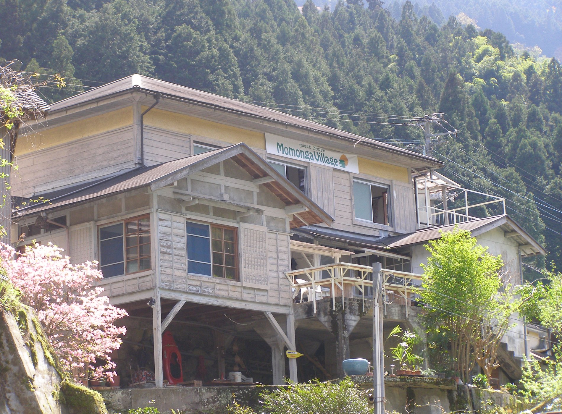 Guest House Momonga Village image