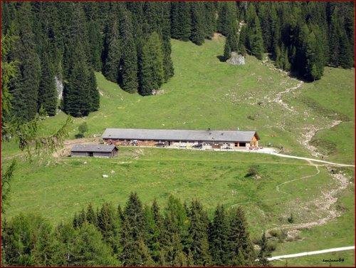                   Malga Venegia
                