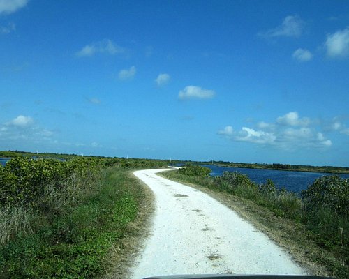 Exploring Merritt Island: Floridas Hidden Gem