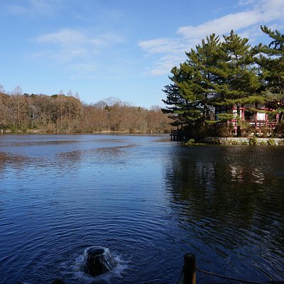 练马区10 大公园与自然景点 Tripadvisor 练马区10 大公园与自然景点 Tripadvisor