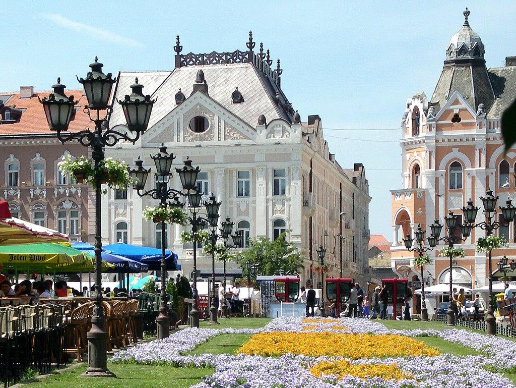 Сербия Нови Сад Фото