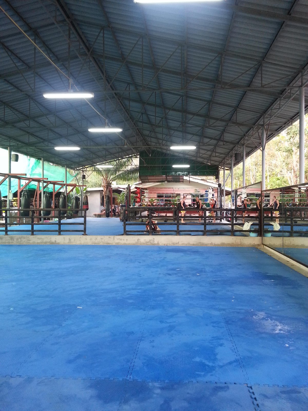 Combien d'entraînements de boxe par semaine – Tigre Thai