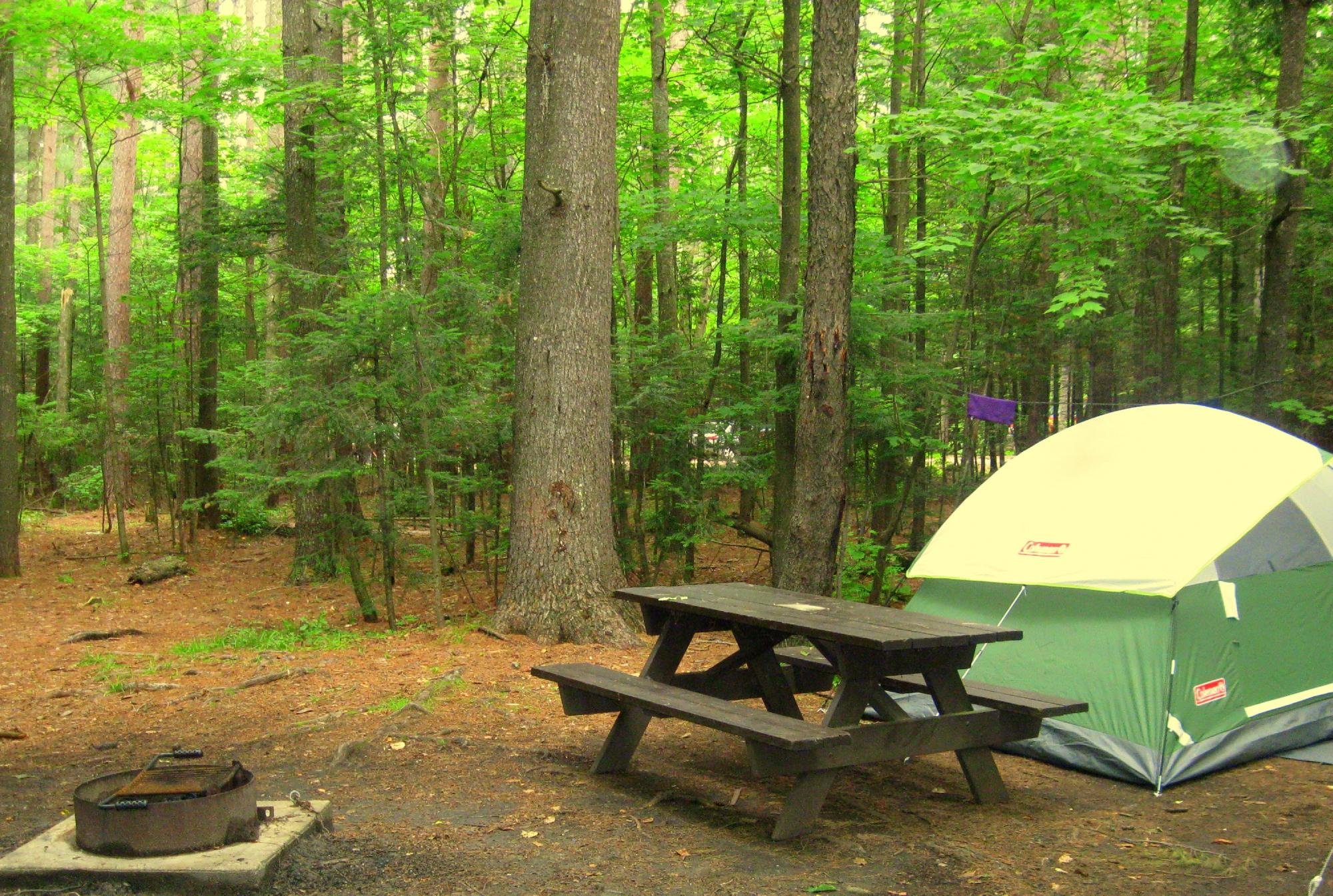 WILDERNESS CAMPGROUND AT HEART LAKE - Reviews (Lake Placid, NY)