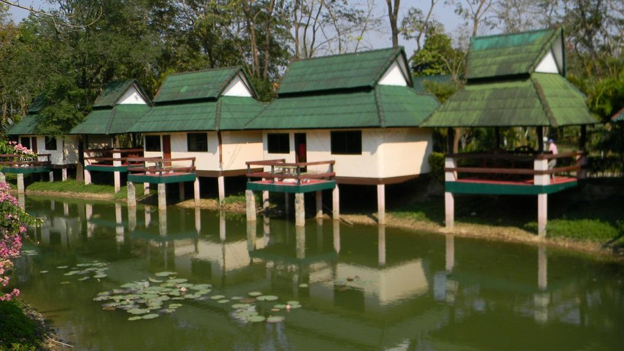                   Cabañas
                