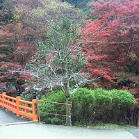 朱塗りの欄干が紅葉に映える