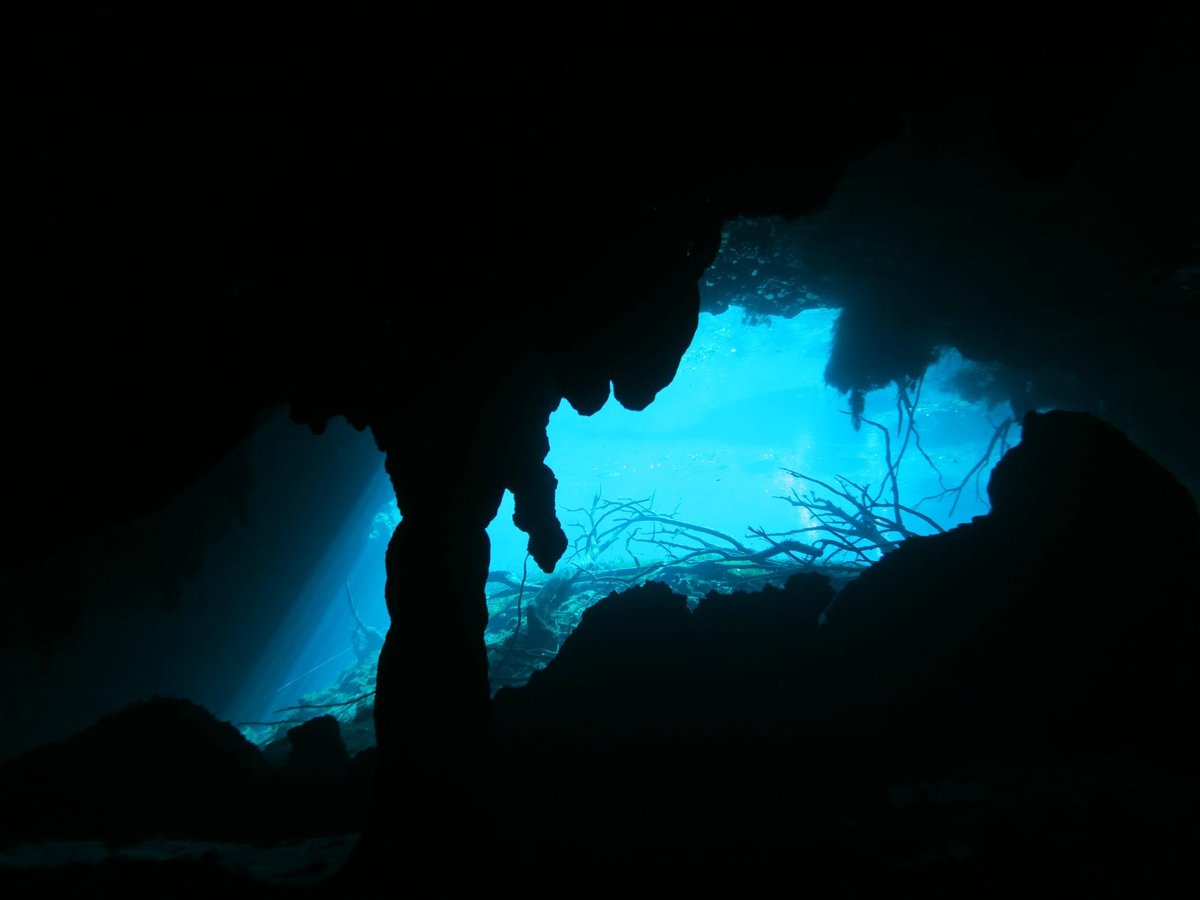 easy chango diving tulum