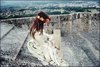 Laurilia
