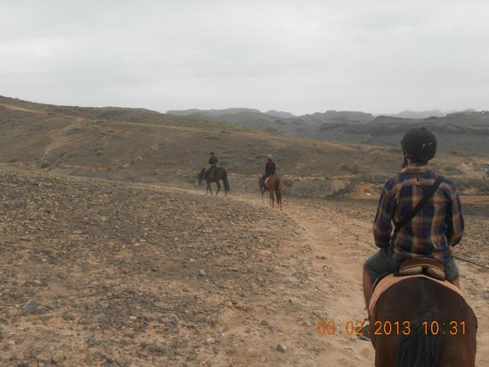 Imagen 9 de Rutas ecuestres El Salobre Horse Riding