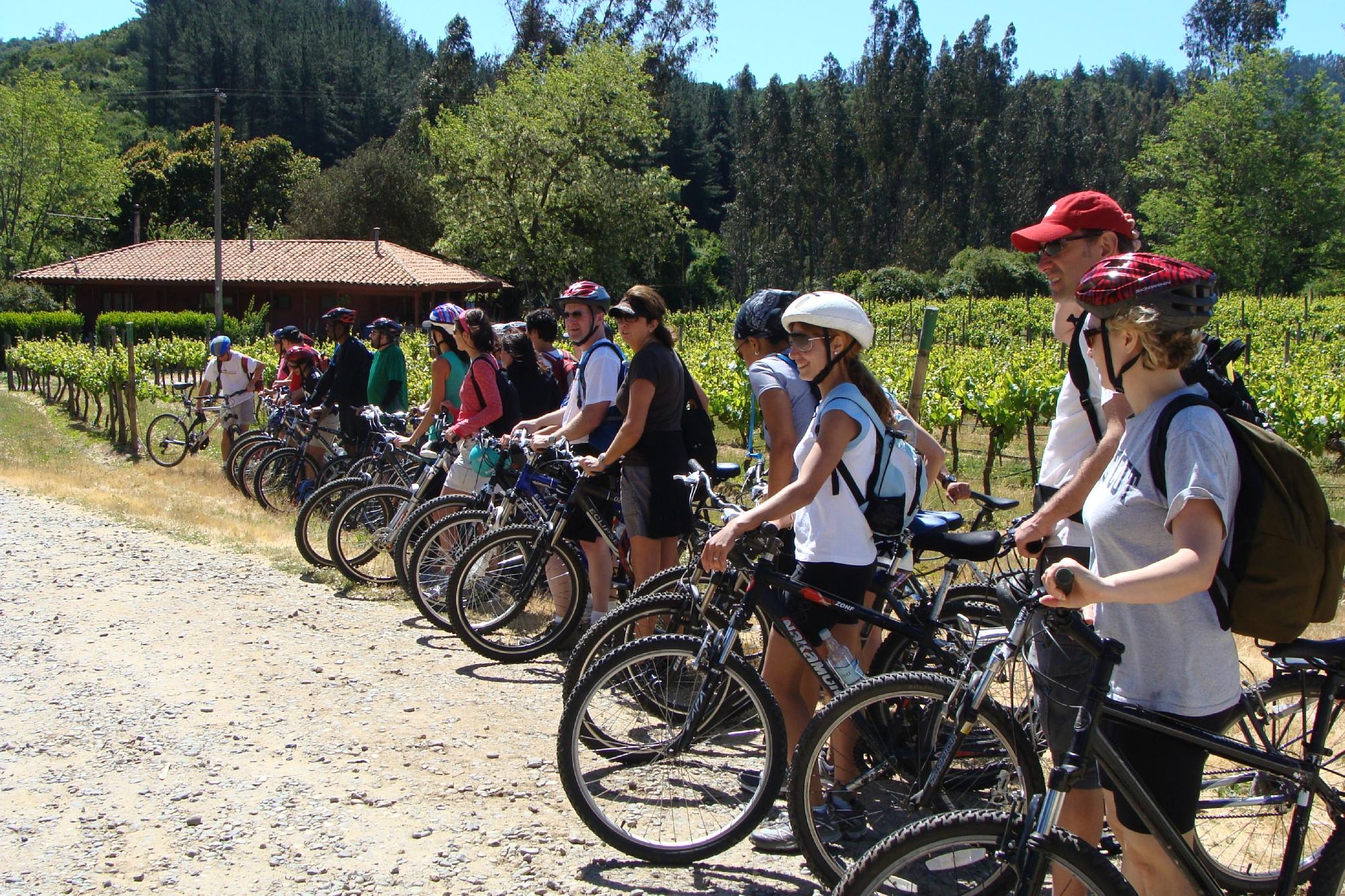 Turismo en online bicicleta